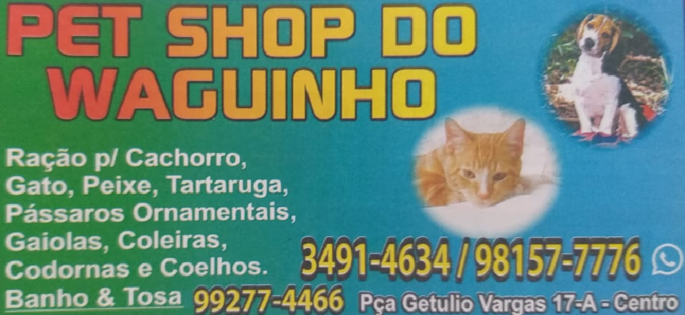 Onde Fazer Banho e Tosa Pet Shop Cidade Vargas - Pet Shop Perto de